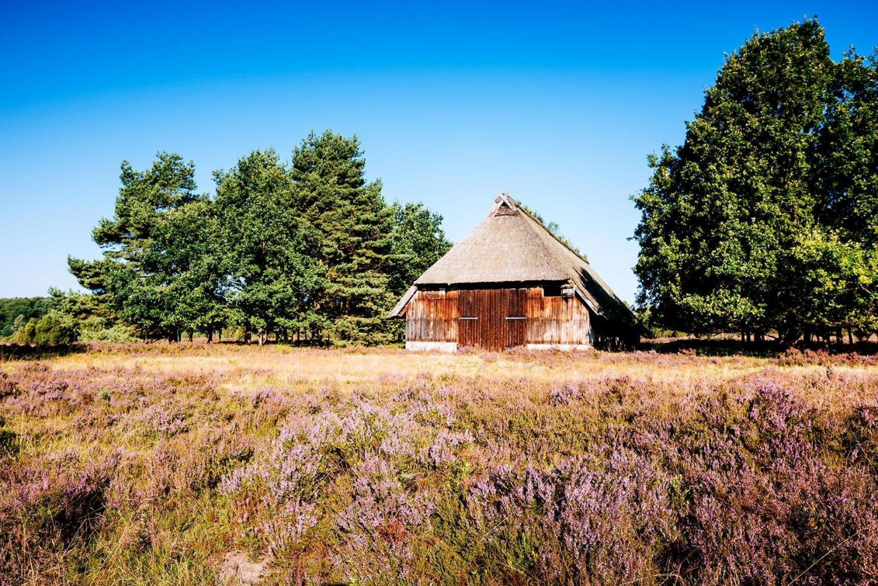 Heidehof Oberhaverbeck Villa Bispingen Dış mekan fotoğraf
