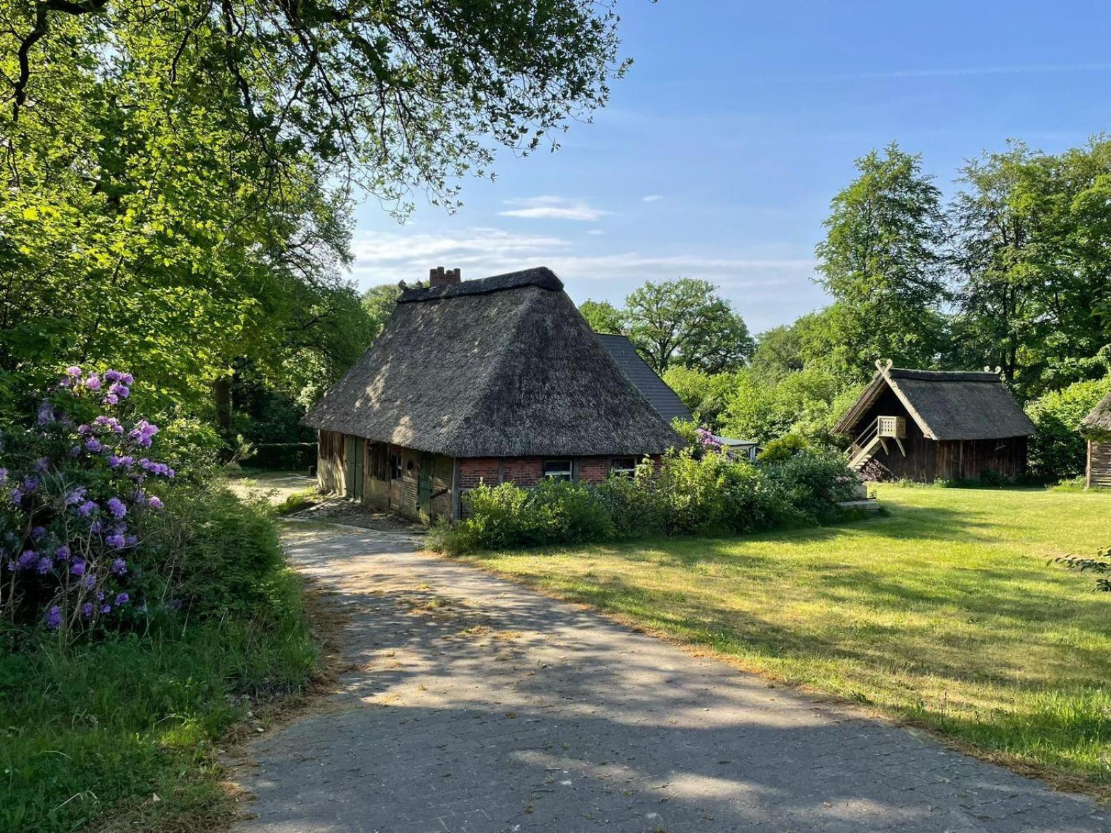 Heidehof Oberhaverbeck Villa Bispingen Dış mekan fotoğraf
